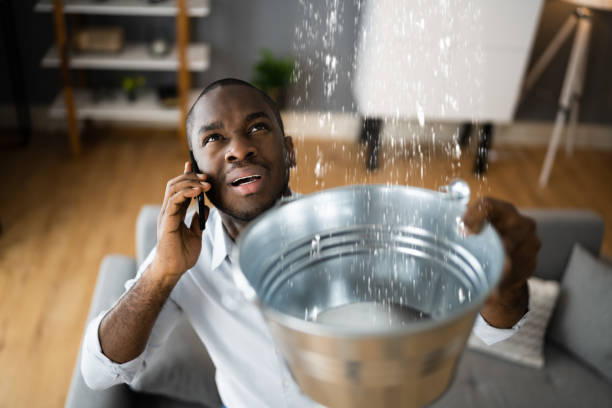 Best Water damage cleanup near me  in Long Beach, CA