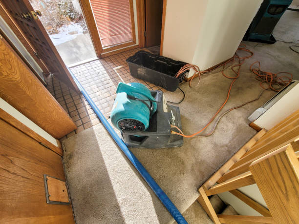 Best Water damage restoration cost  in Long Beach, CA