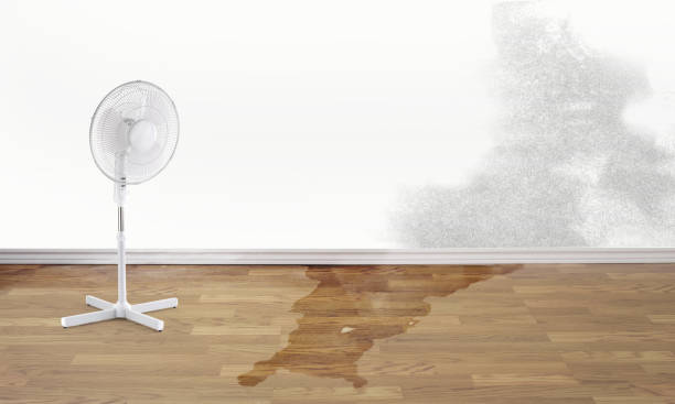 Best Flooded house restoration  in Long Beach, CA