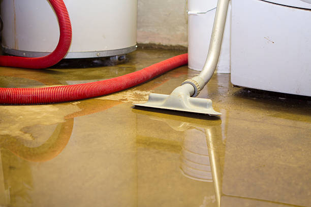 Best Carpet water damage restoration  in Long Beach, CA