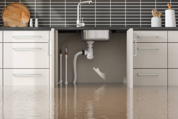 Best Fire Damage Restoration  in Long Beach, CA