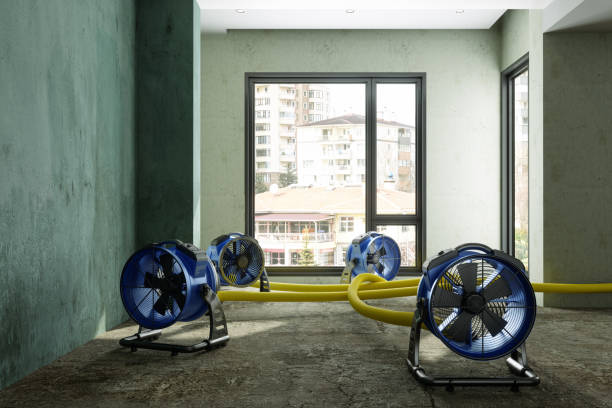 Reliable Long Beach, CA Water damage restoration Solutions
